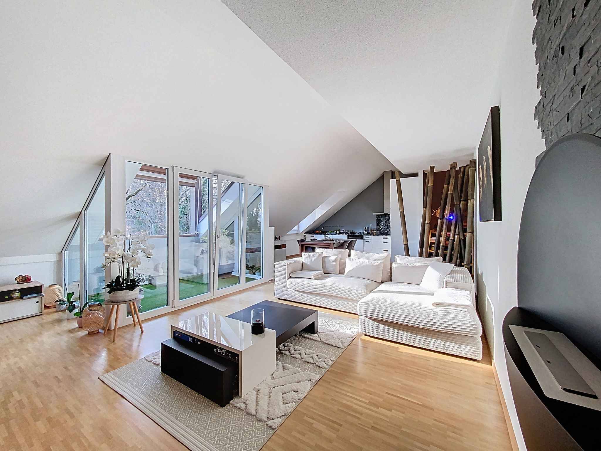 Magnificent attic duplex with attic