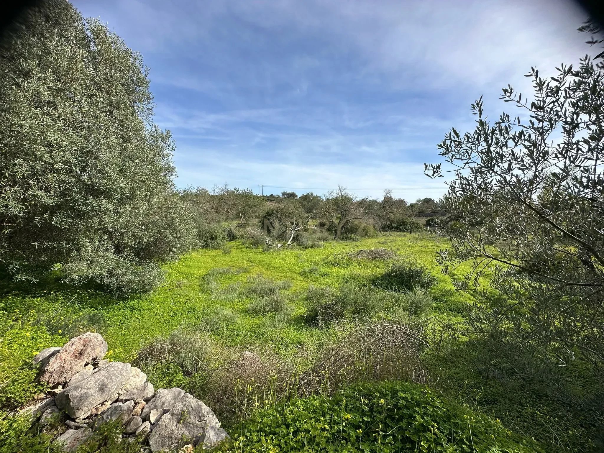 Rustic Land in Alfontes, Boliqueime