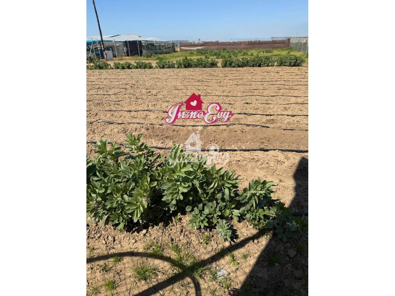 Land for sale in Las Palmeras-Dehesilla