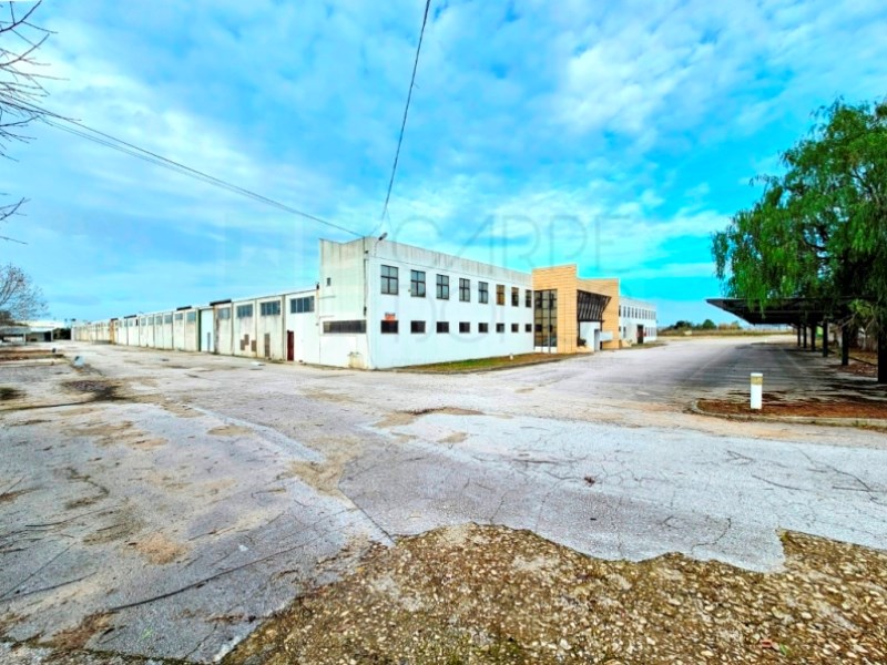 Industrial Warehouse with 12,000m2, in Torres Novas, Santarém