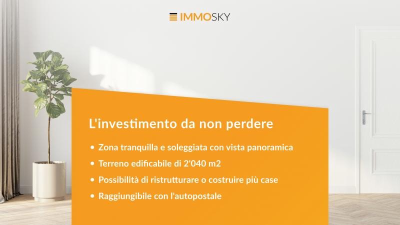 The investment not to be missed