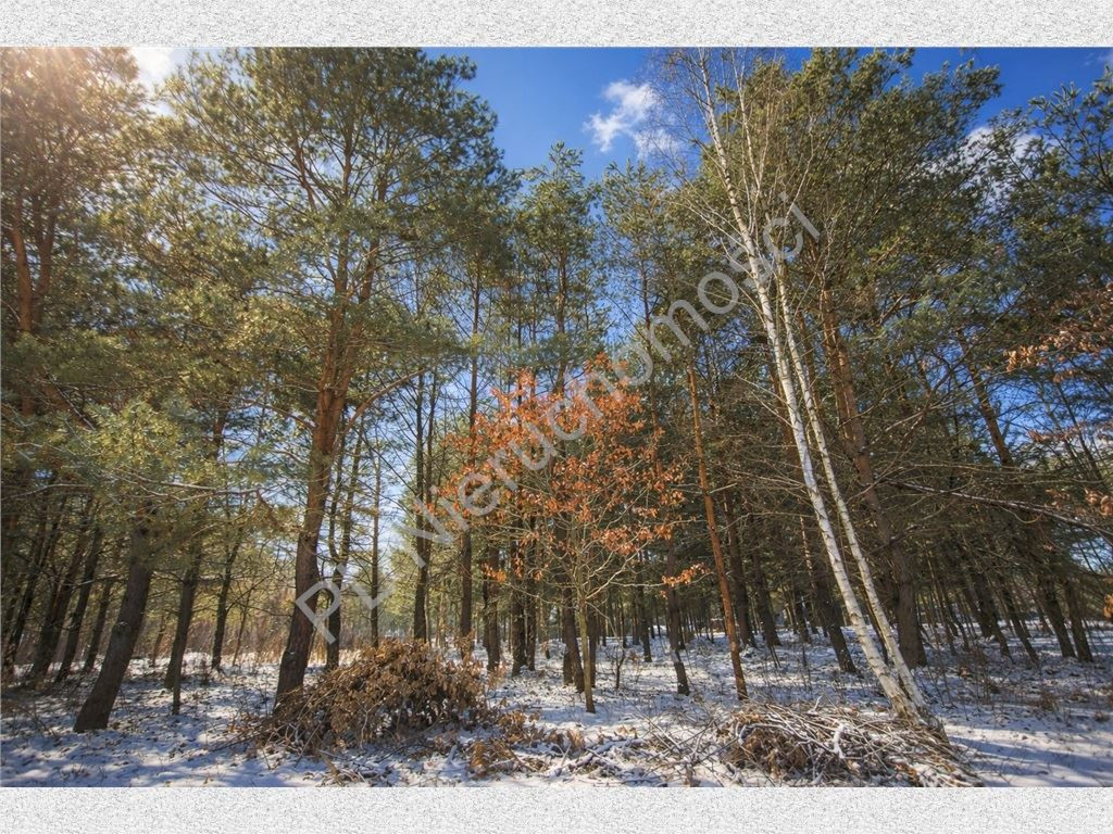 Land Plot for sale, mazowieckie grodziski (Grodzisk Mazowiecki, Poland)