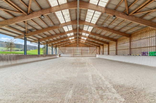 Equestrian property with riding hall and residential building