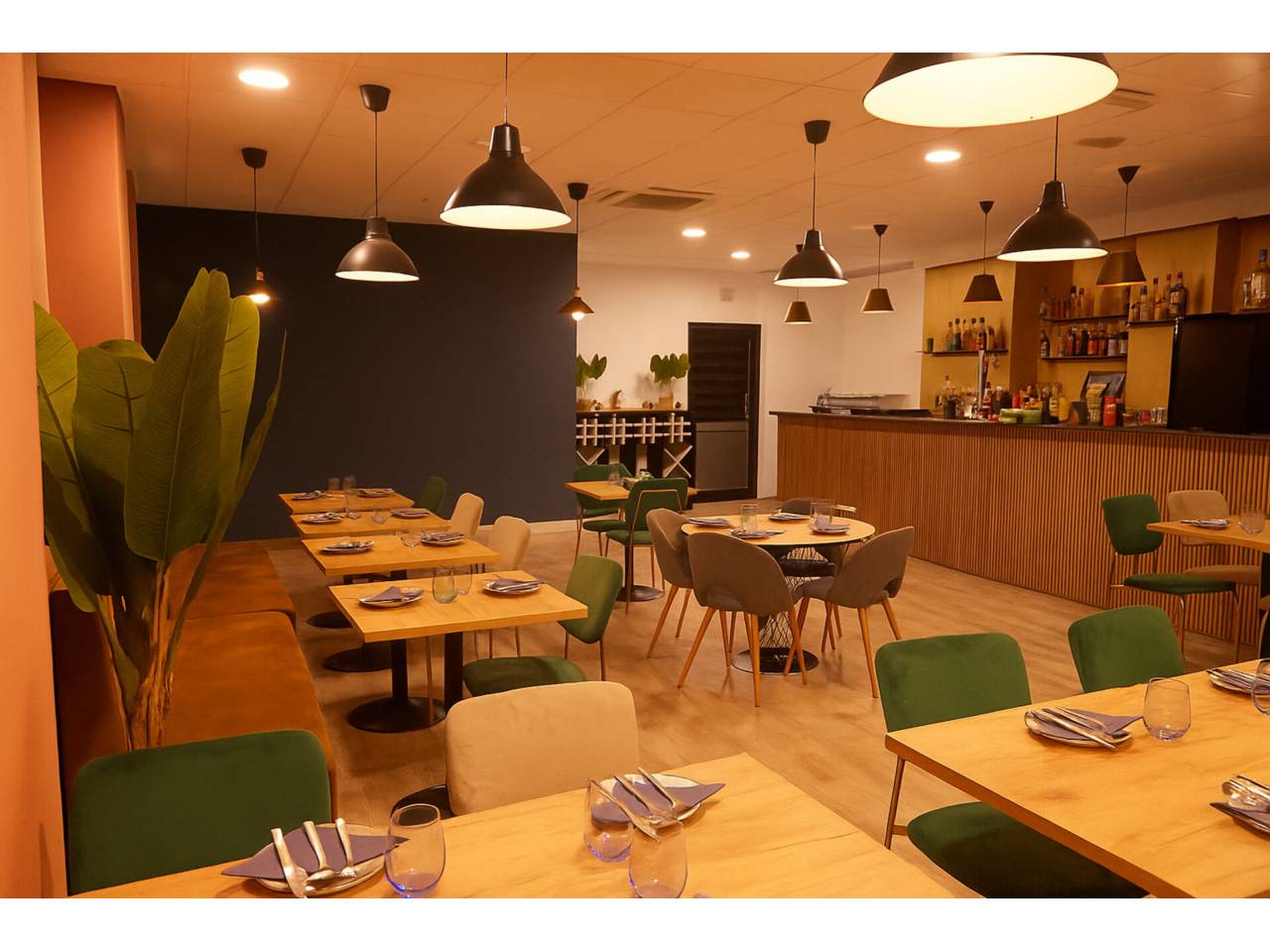 Transfer of restaurant c3- Terrasa