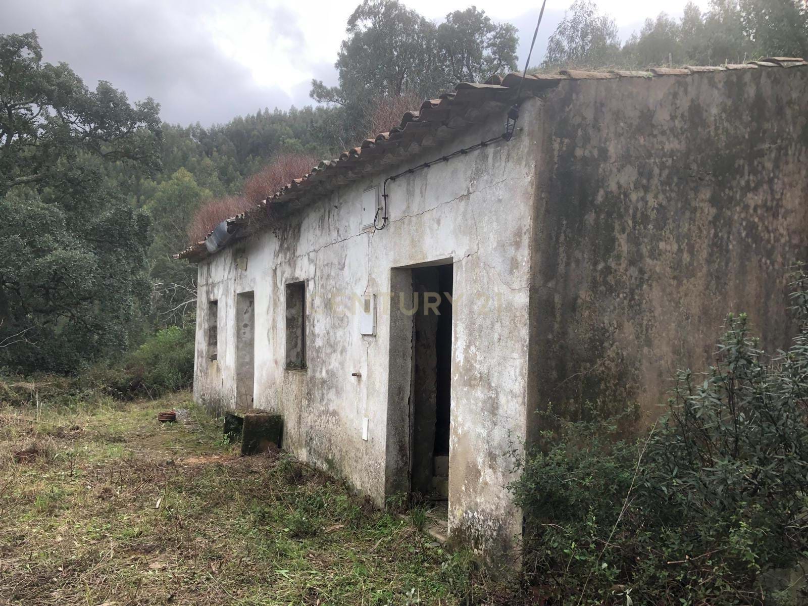 4-hectare plot with house to renovate in Monchique