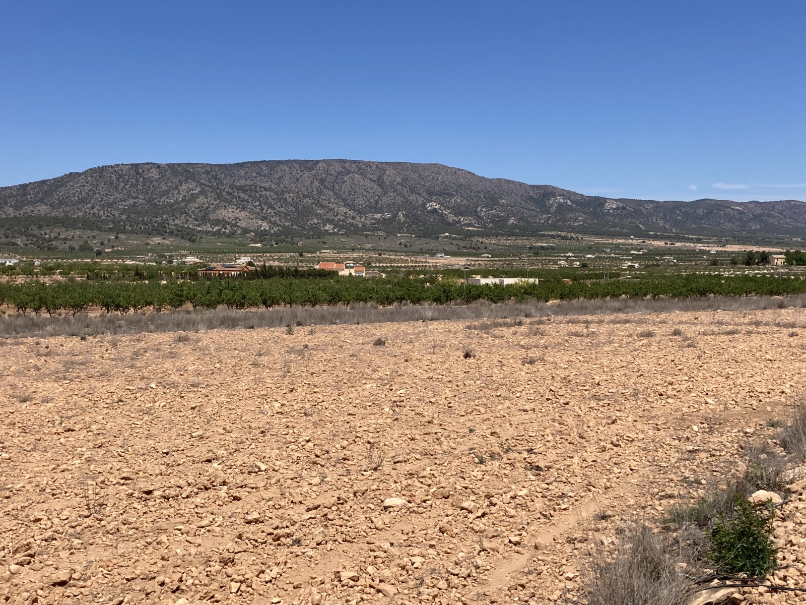 Land Plot for sale in Pinoso, Spain