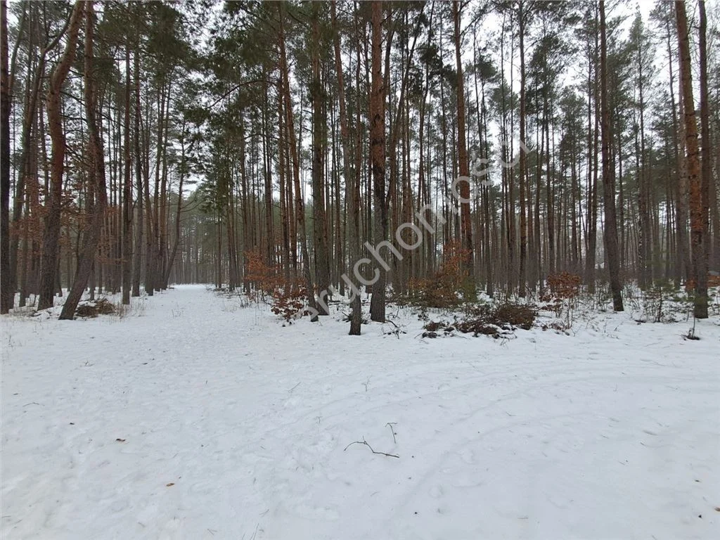 Land Plot for sale, mazowieckie grodziski (Grodzisk Mazowiecki, Poland)