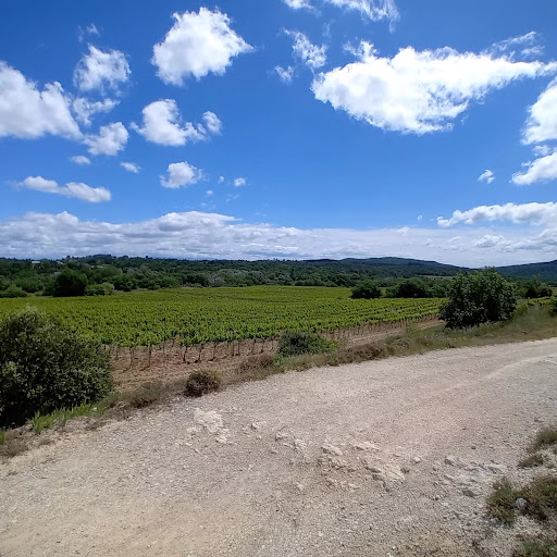 Land Plot for sale in Pierrevert, France