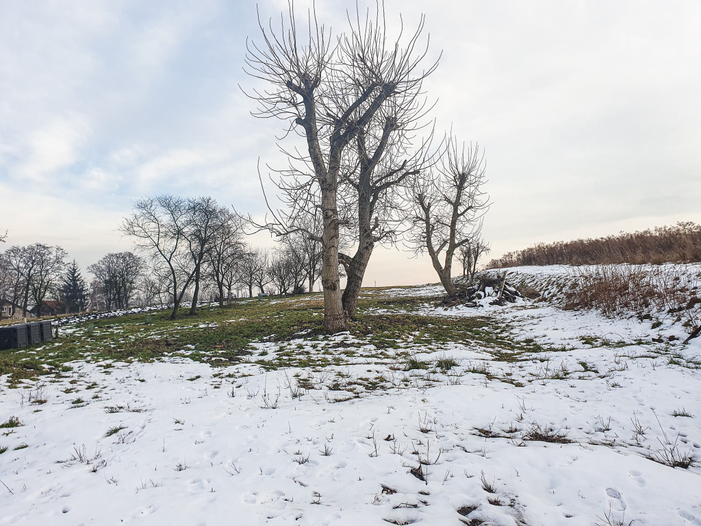 Land Plot for sale, małopolskie krakowski , Jaśminowa (Gmina Kocmyrzów-Luborzyca, Poland)