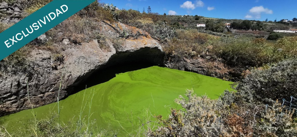 Rustic land For sell in Palmas De Gran Canaria, Las in Las Palmas