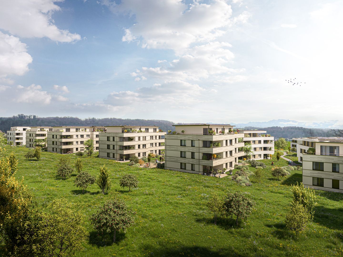 New construction project "Coll d'Or" - 5 1/2 room apartment