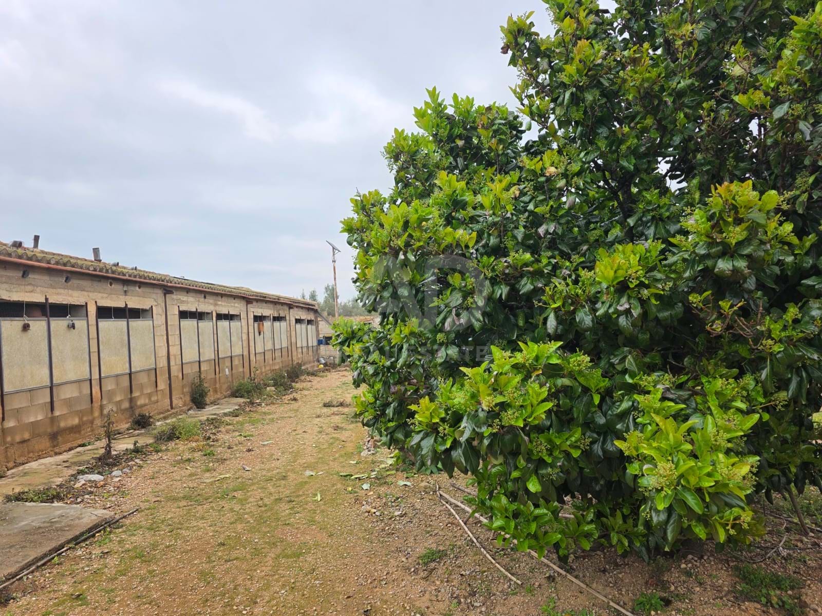 Agricultural land - null m2