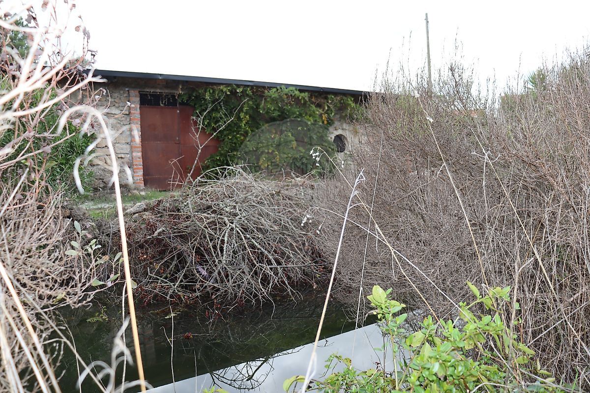 Land Plot for sale in Castelo Branco, Portugal