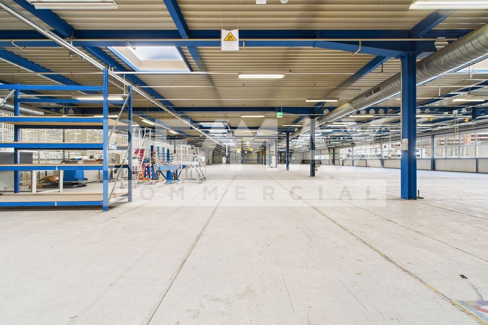 Wichtige Gewerbe-/Industrieimmobilie in Biasca