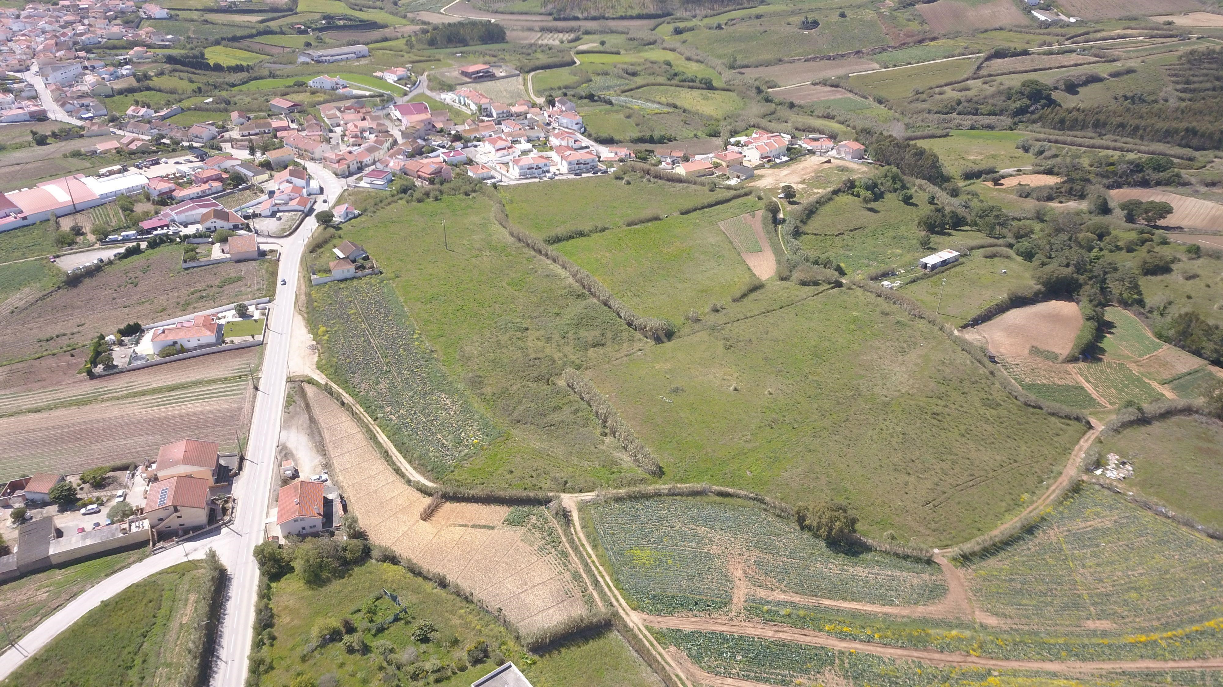 Land in Serra do Calvo - Lourinhã