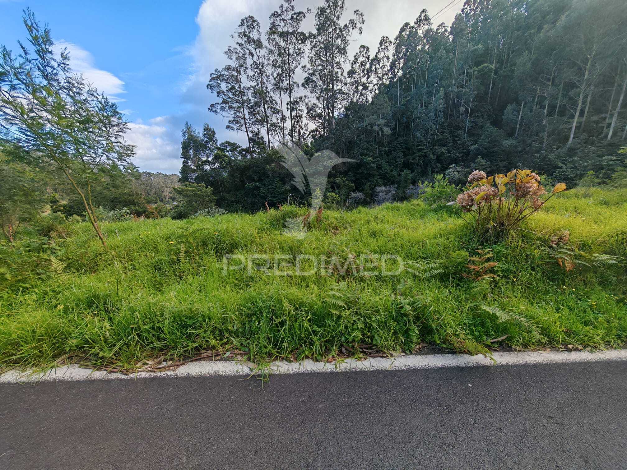 Land with 5,970 m² with Construction Potential | Ribeira de Machico