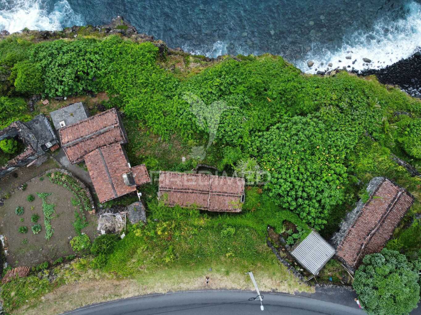 Ruin for sale with approved project – São Caetano, Madalena, Pico Island