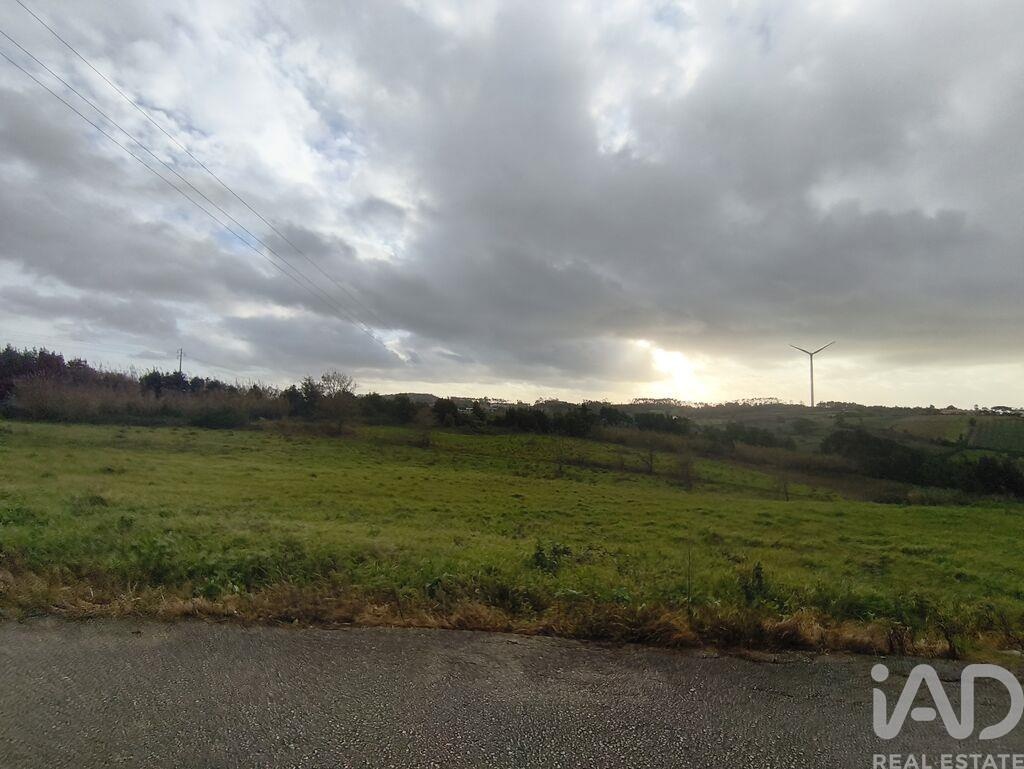 Agricultural Land in Cela