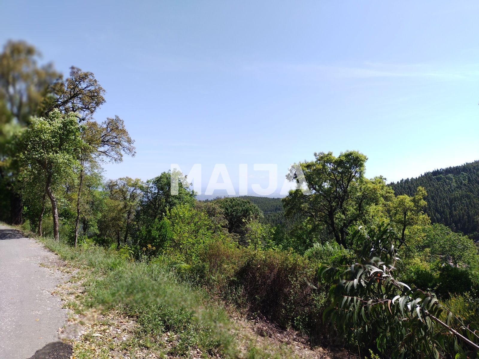 Lush Rustic land with 16440m2 with 28m2 urban part