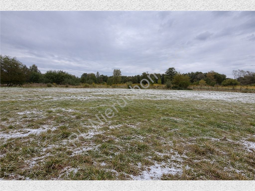 Land Plot for sale, mazowieckie grodziski (Jaktorów, Poland)