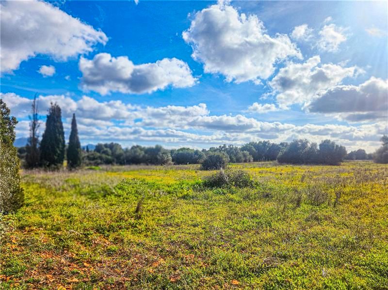 Land Plot for sale in Felanitx, Spain