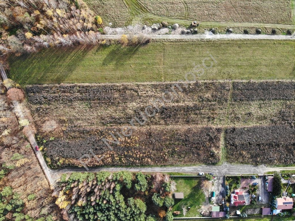 Land Plot for sale, mazowieckie grodziski (Żabia Wola, Poland)