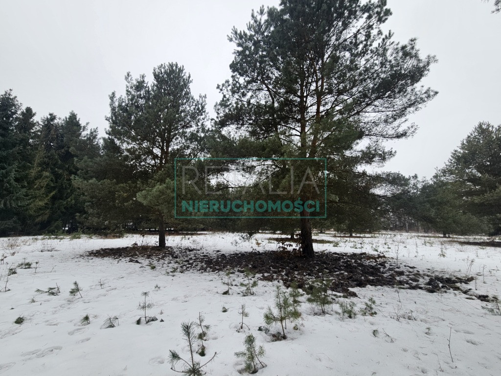 Land Plot for sale, mazowieckie grodziski (Żabia Wola, Poland)