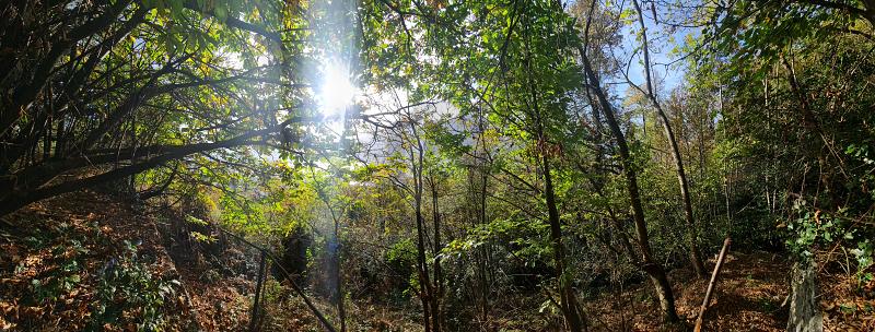 WITH SPECTACULAR VIEWS