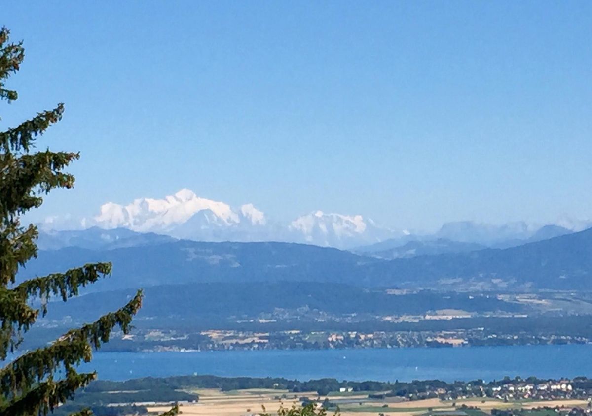 Make an offer for this superb exceptional villa, with views of the lake and the Alps