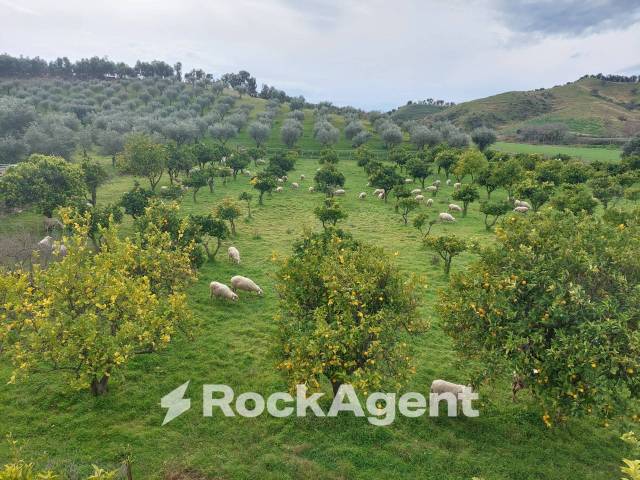 Land Plot for sale, Strada Statale 107 Silana Crotonese (Crotone, Italy)