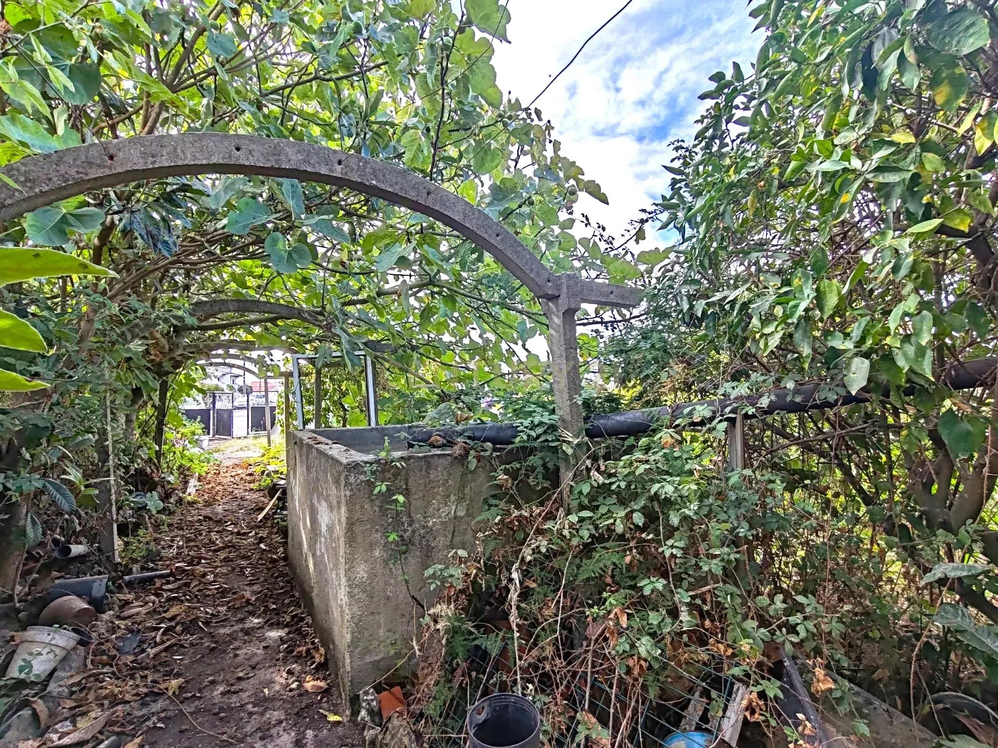 Prime Urban Land in Cascais with City Views and Garden Oasis