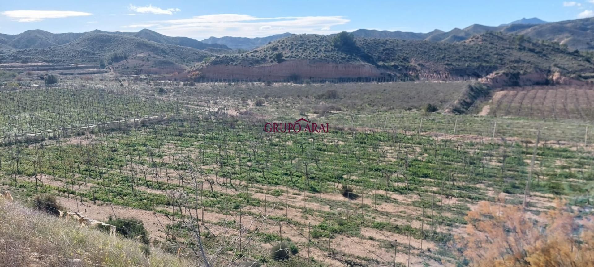 Land Plot for sale in Monforte del Cid, Spain