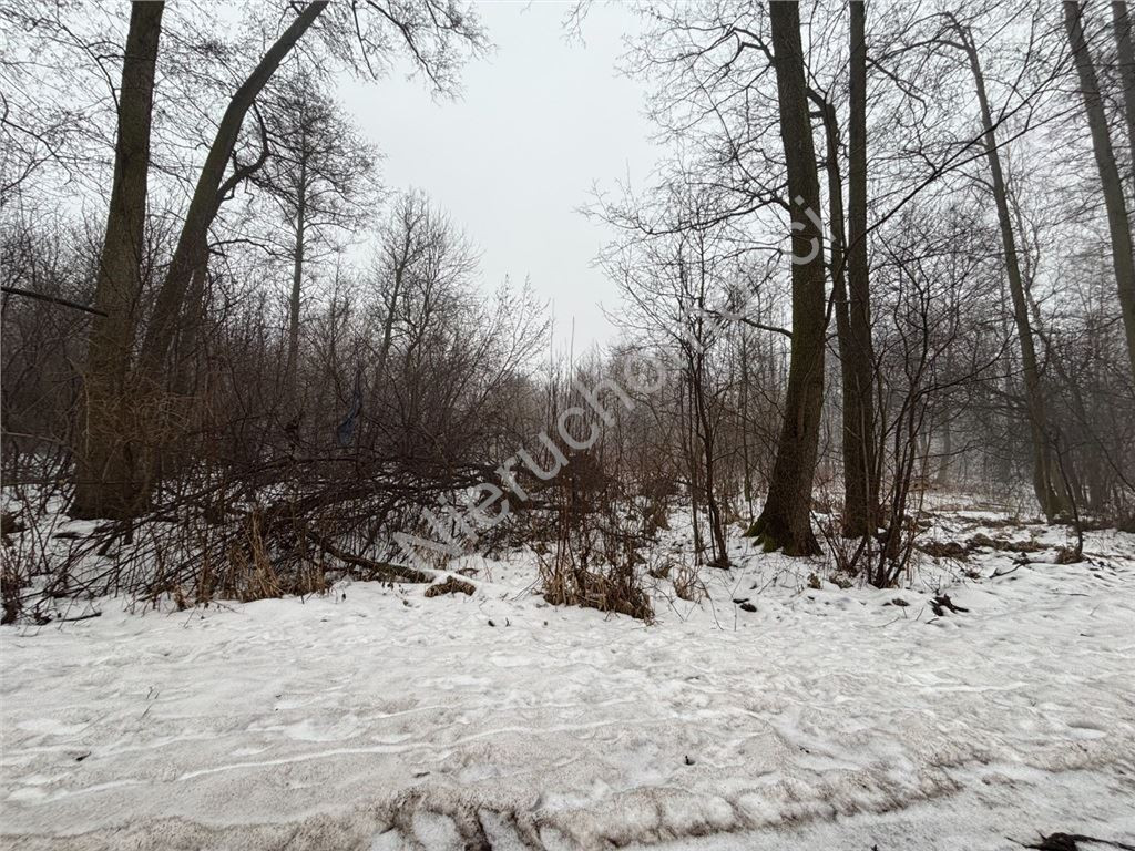 Land Plot for sale, mazowieckie grodziski (Grodzisk Mazowiecki, Poland)