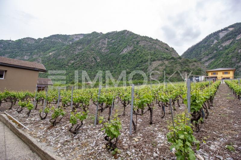 Treat yourself by building your dream