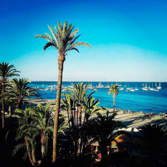 Urban Plot for sale in Murcia