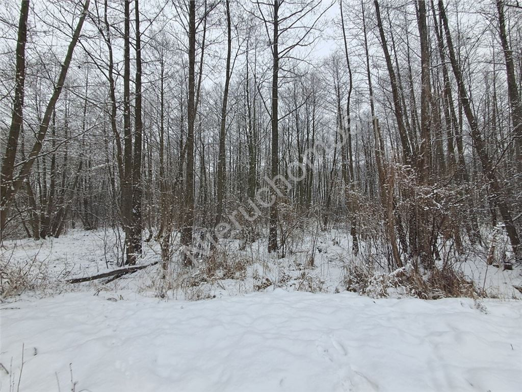 Land Plot for sale, mazowieckie grodziski (Jaktorów, Poland)