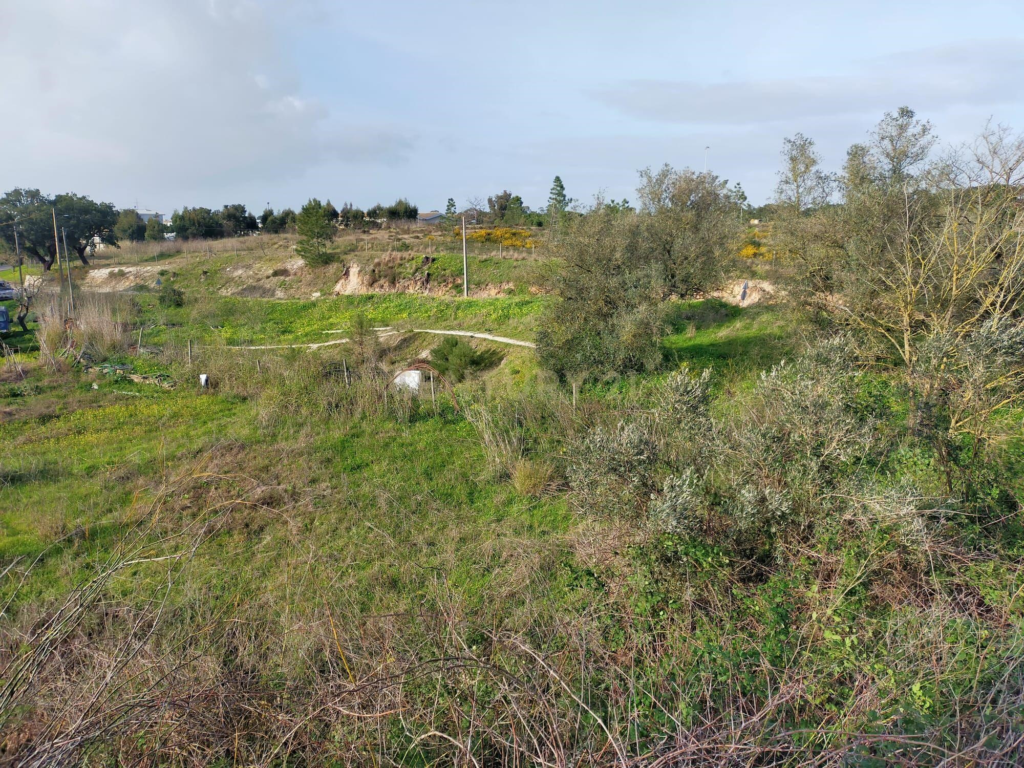 Land with building potential