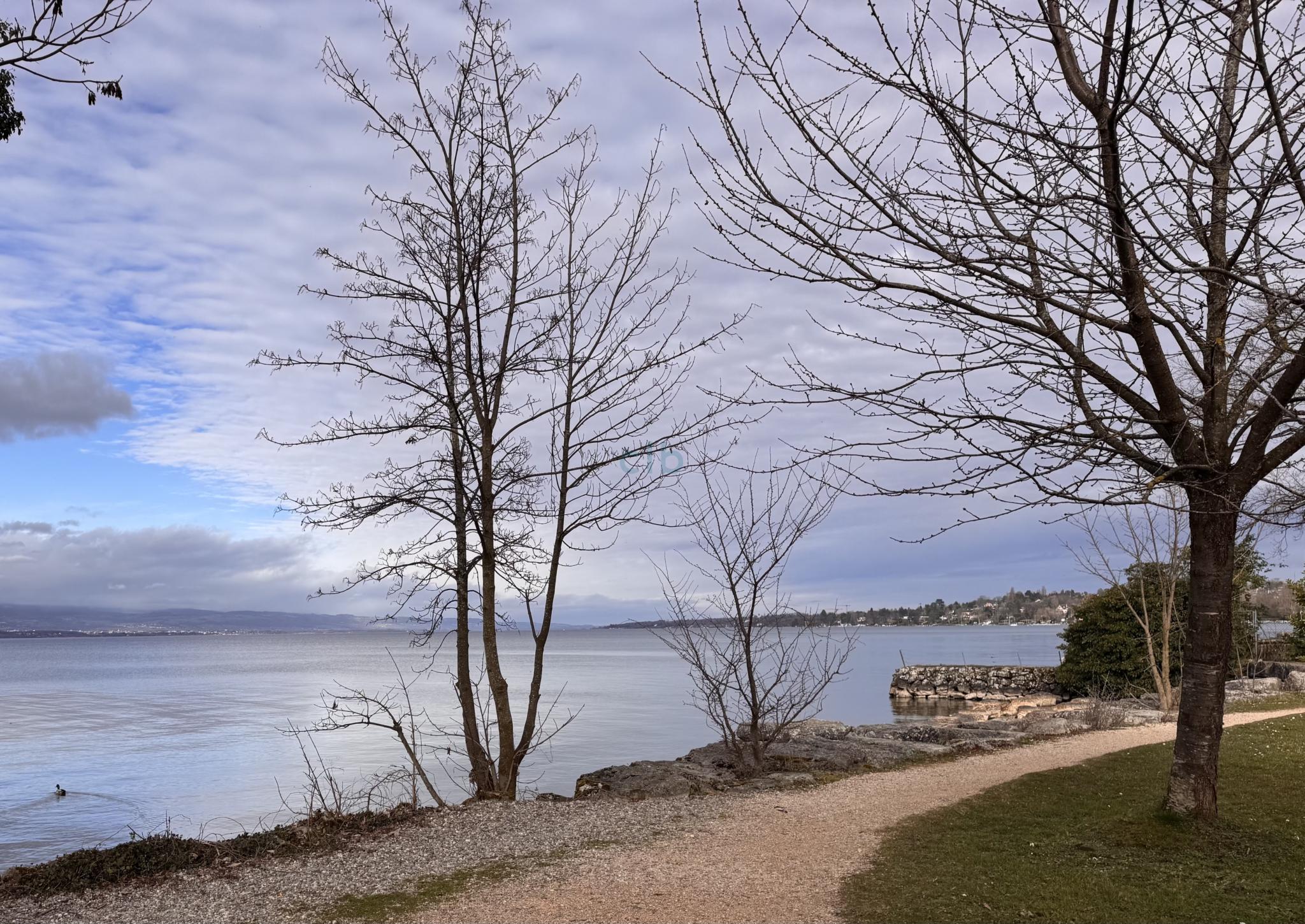 Beautiful family villa in a quiet area 150 meters from the lake