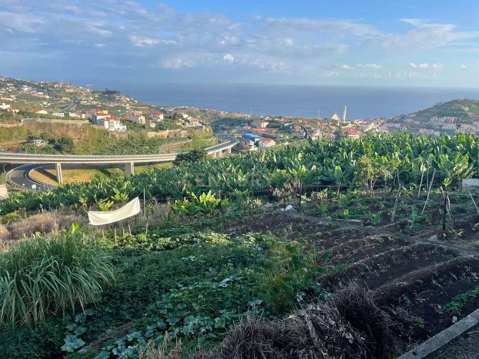 Building land, Câmara de Lobos, Madeira Island