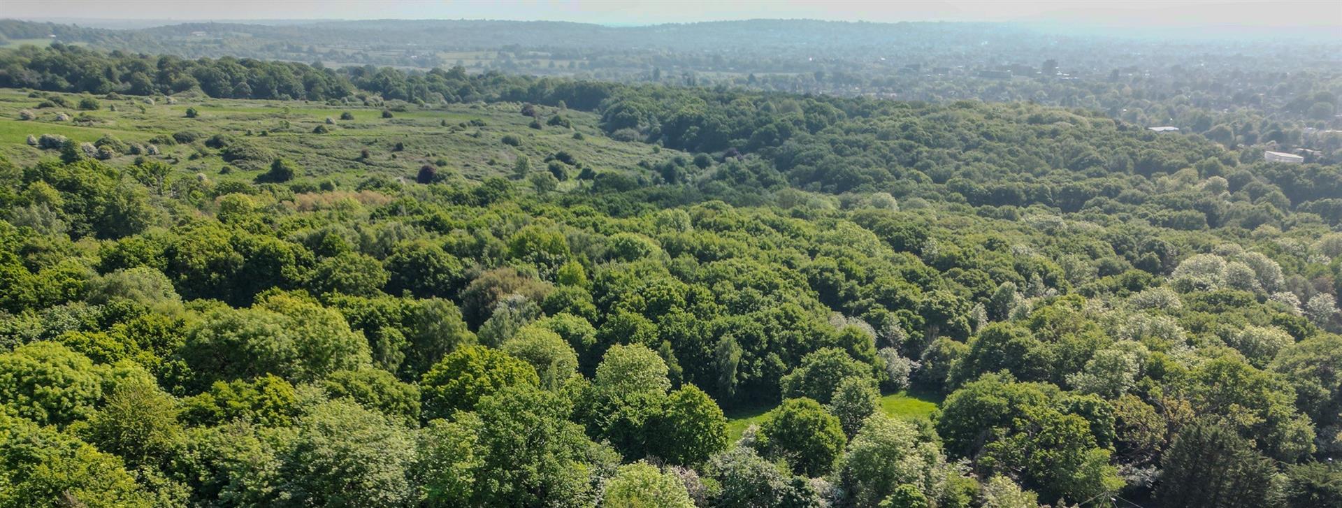 House: for sale in Stanmore