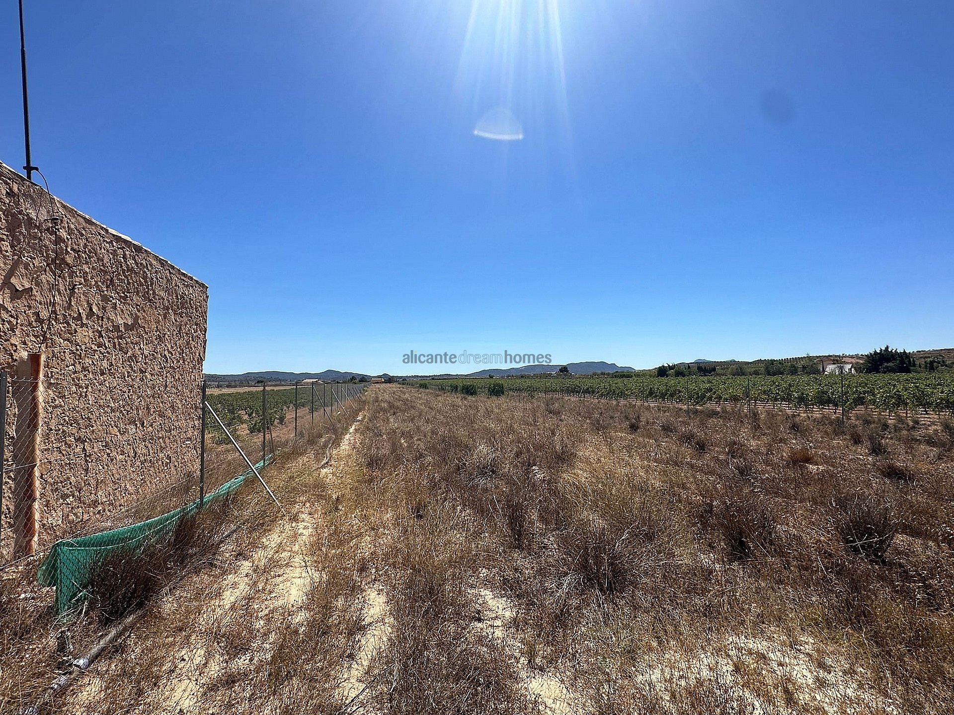 Land Plot for sale in Pinoso, Spain
