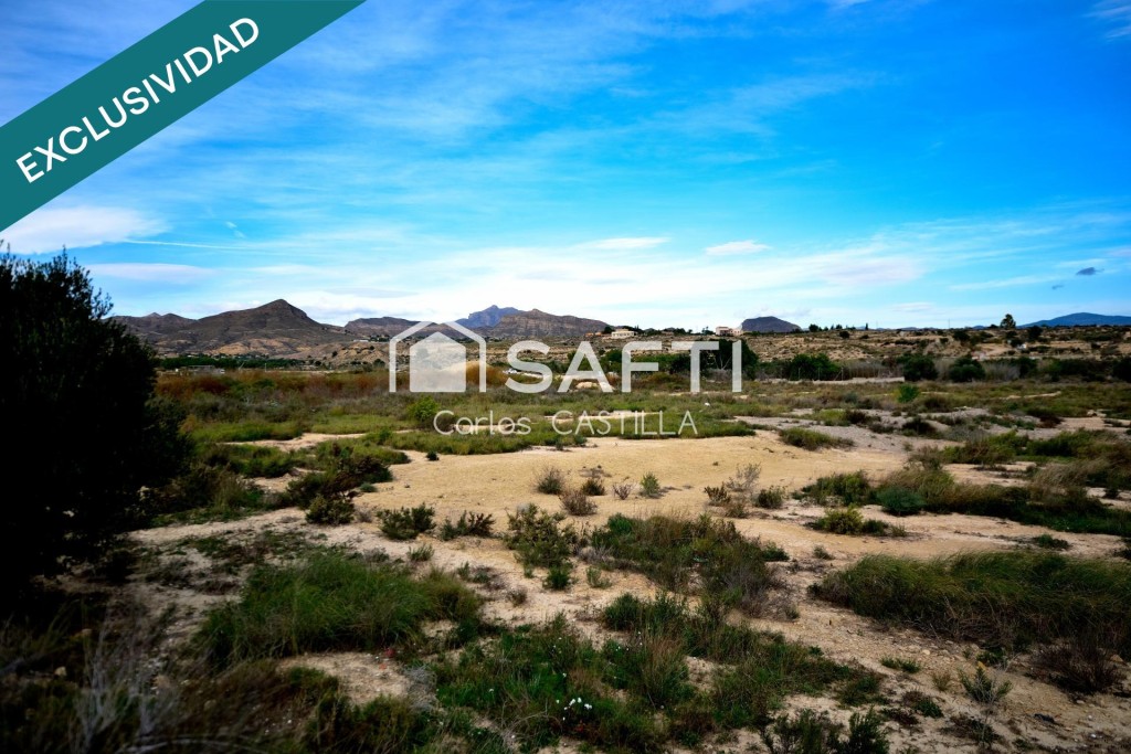 Rustic land For sell in San Vicente Del Raspeig in Alicante