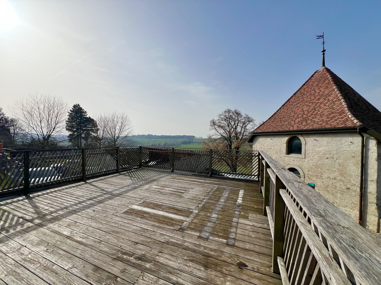 Atypical large 2.5-room apartment with large terrace