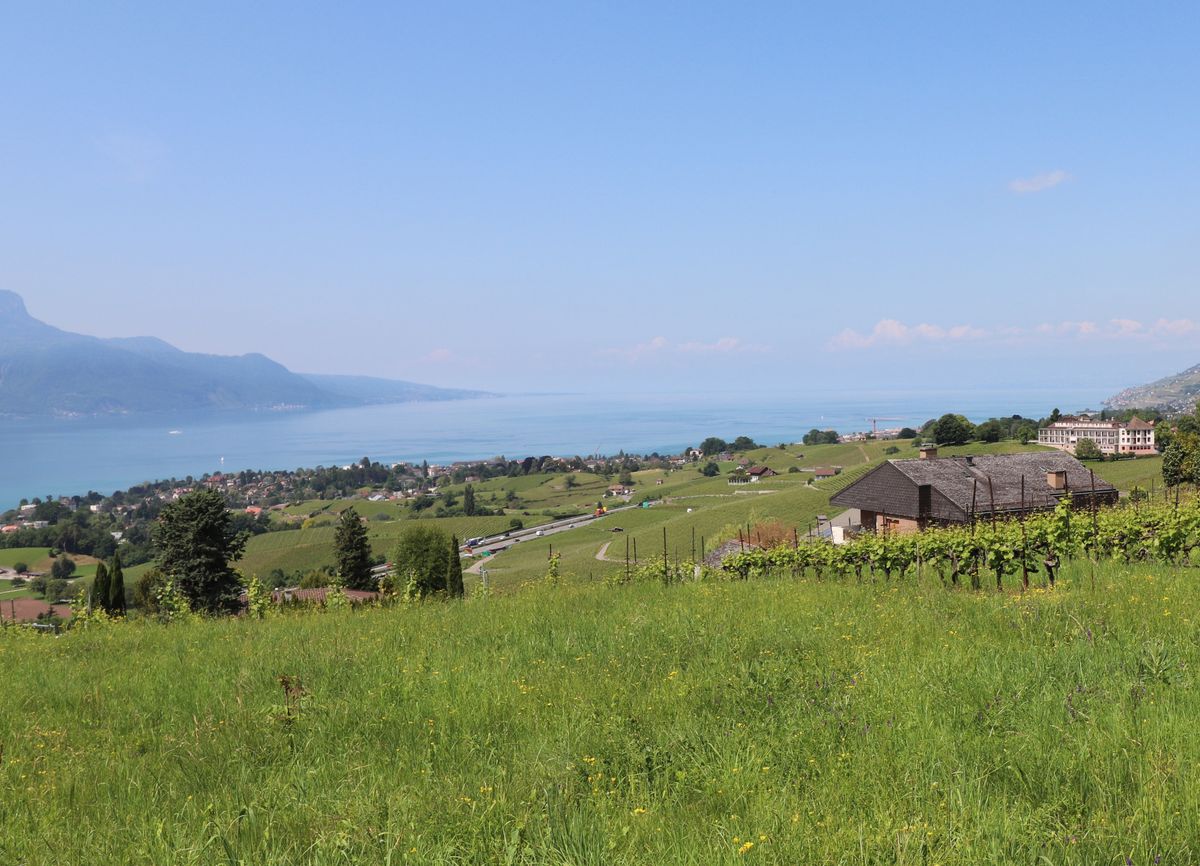 In excusivity, rare very beautiful building land, very residential and quiet villa area. View of the lake and the Alps.