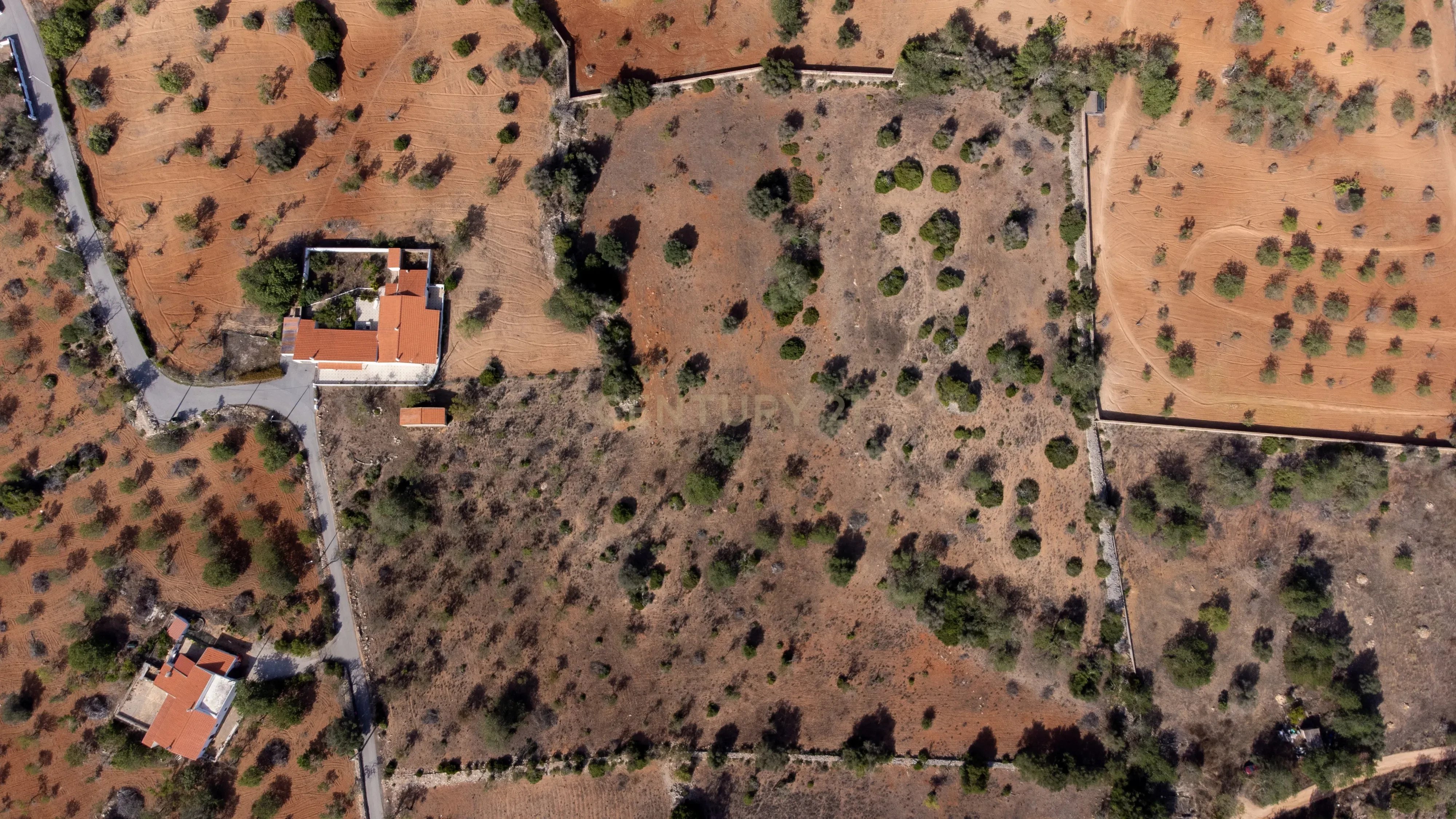 Rustic land with 21 770m2 in the Canals of Albufeira