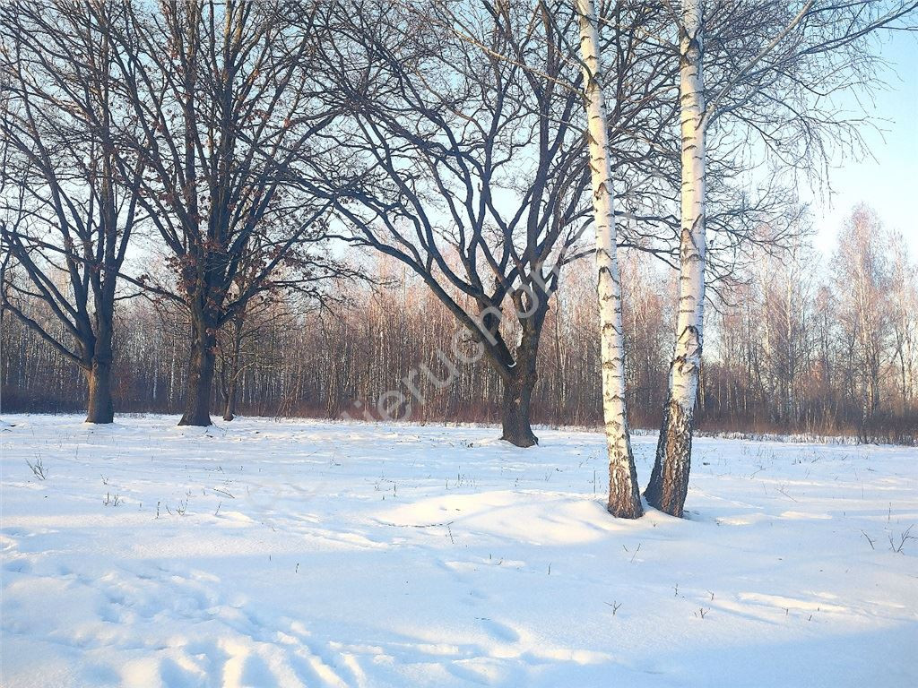 Land Plot for sale, mazowieckie grodziski (Milanówek, Poland)