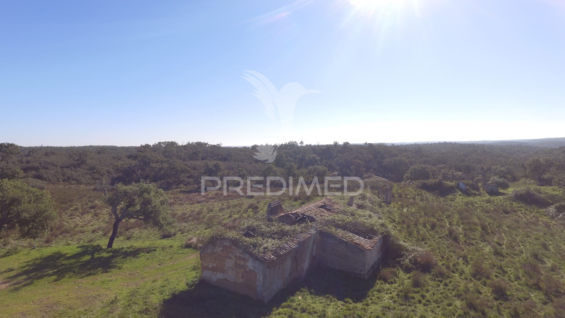 Estate with 71 hectares and ruin of 174m2