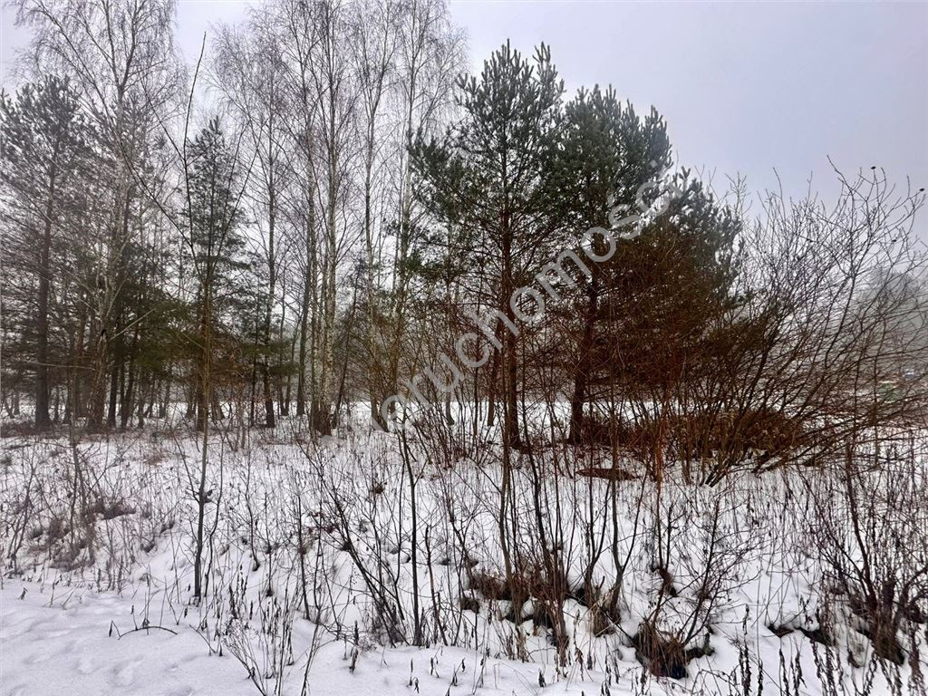 Land Plot for sale, mazowieckie pruszkowski (Nadarzyn, Poland)