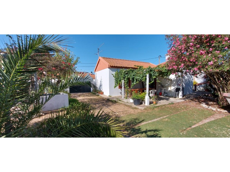 Farm for Sale | Downtown St. António da Charneca