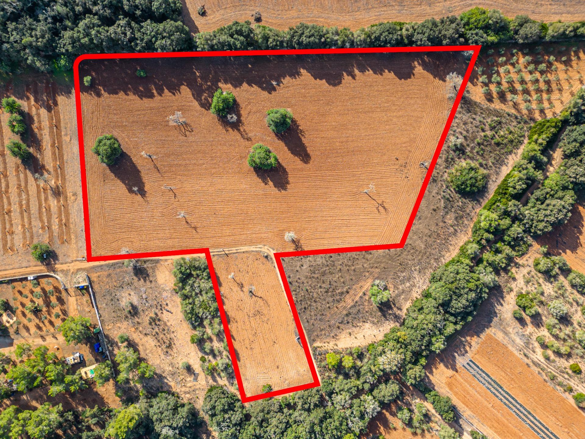 Rustic Land for Development